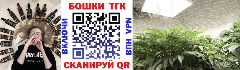 Сколько стоит Ленинск ГАШИШ  Cocaine  Меф  Бошки Шишки 