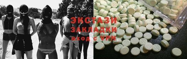 хмурый Алексин