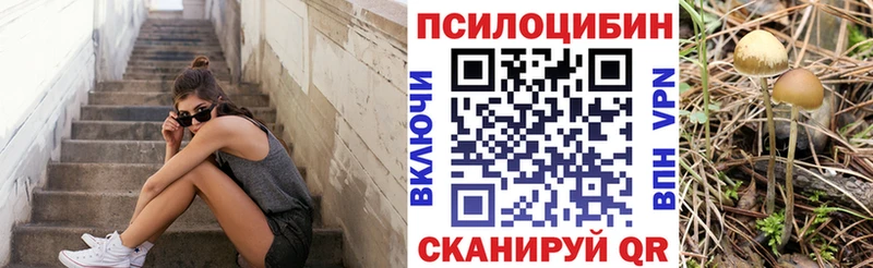 Галлюциногенные грибы мицелий  хочу   Ленинск 
